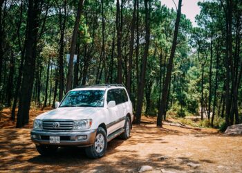 Answered: The Best Place to Buy a Used Car