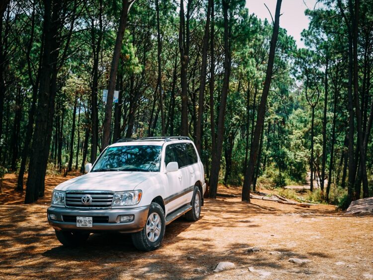 Answered: The Best Place to Buy a Used Car